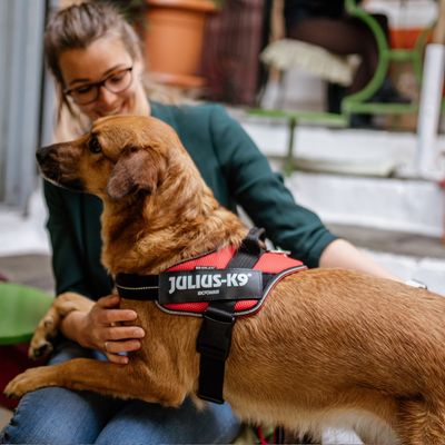 JULIUS-K9 IDC® POWAIR Geschirr - orange