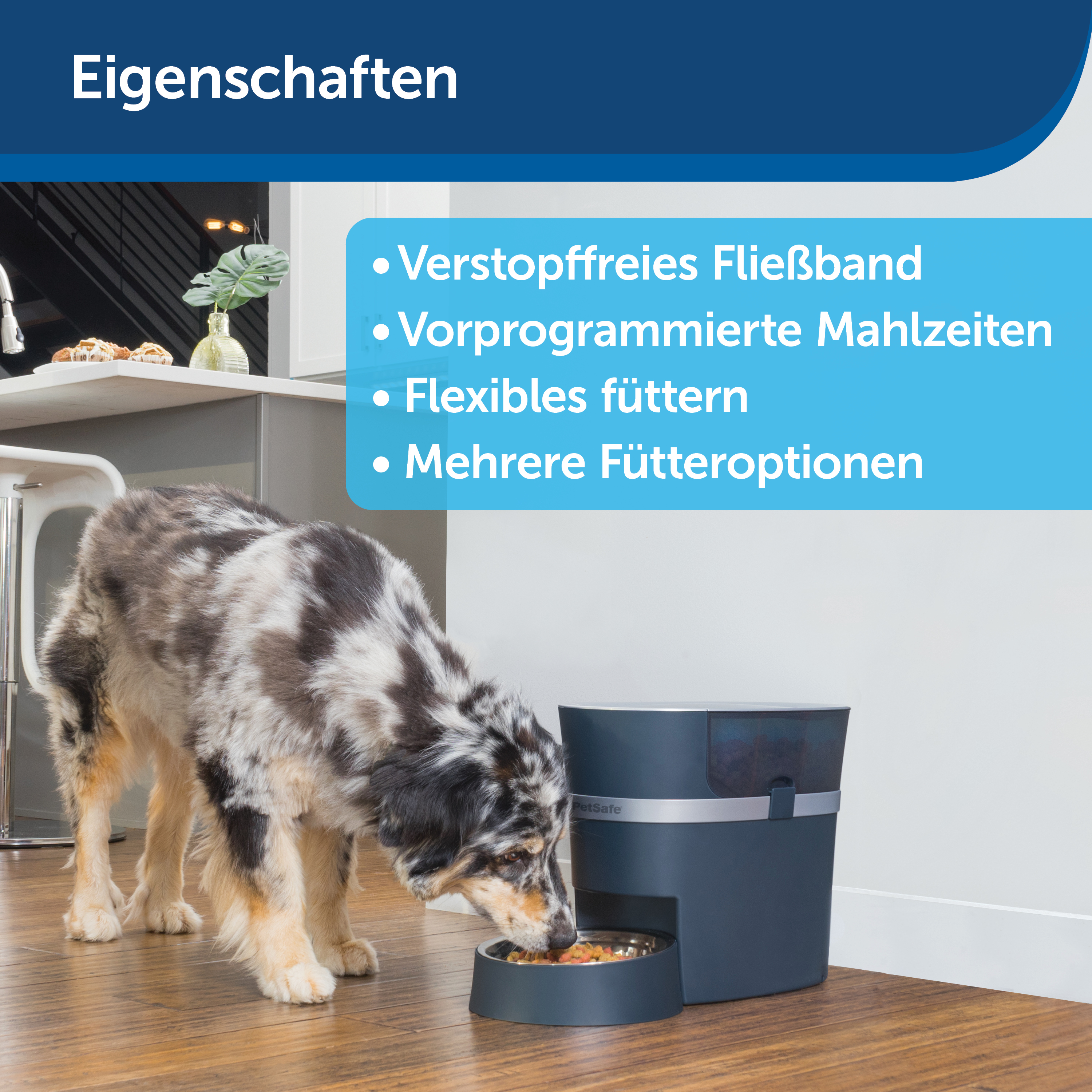 PetSafe Futterautomaten PetSafe Futterautomat Smart Feed