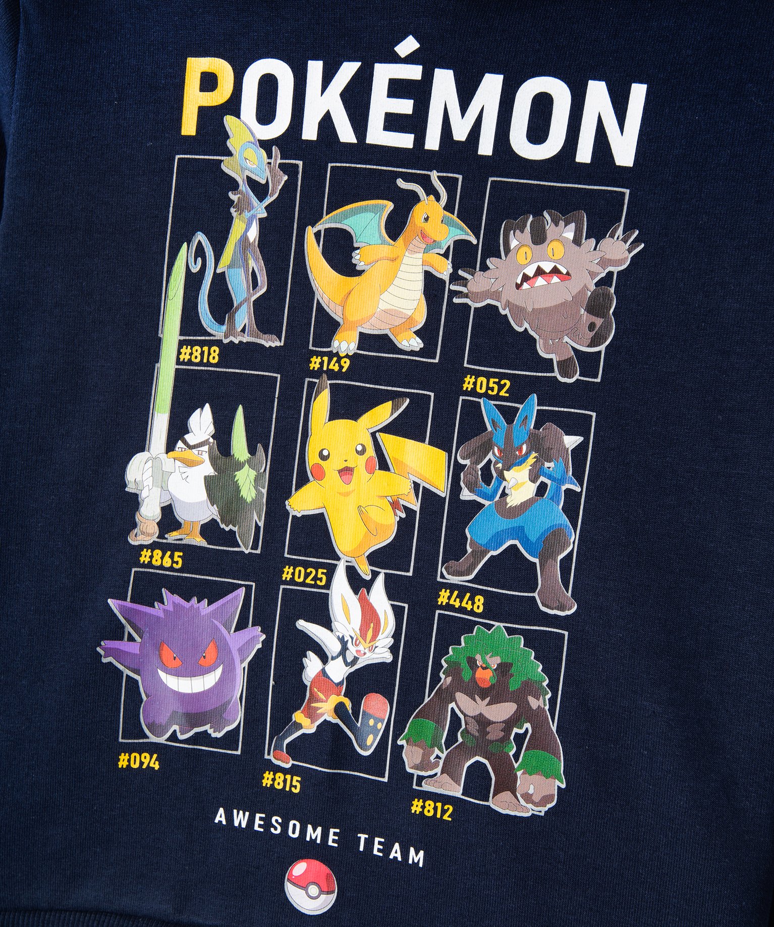 Sweat Garçon à capuche imprimé - Pokémon marine | GEMO