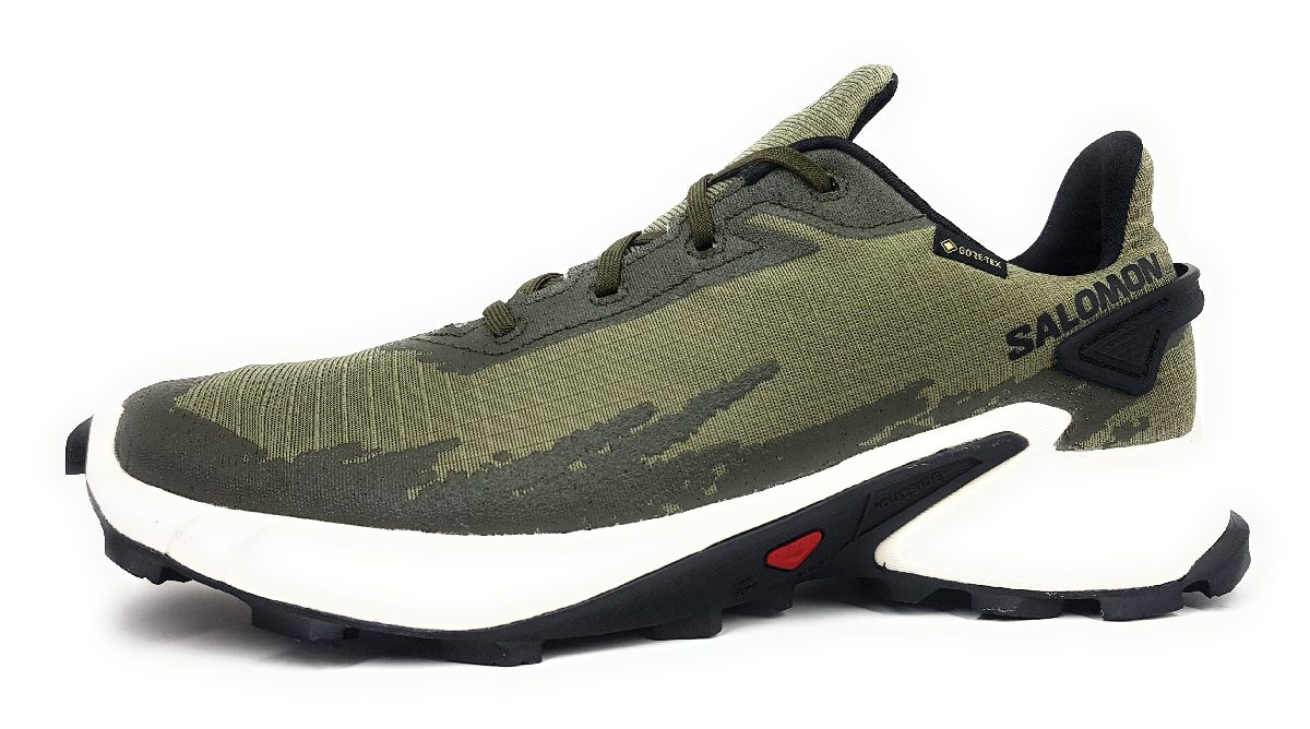 Salomon Alpha Cross 4GTX L417230 Grün Green