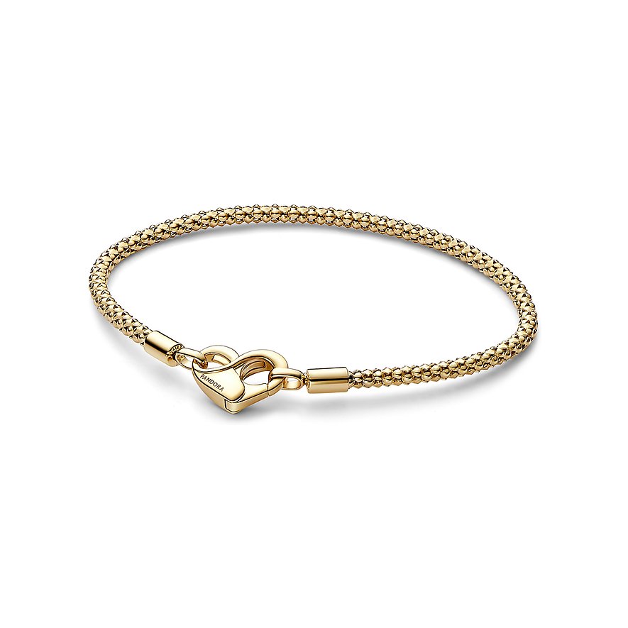Pandora Armband Moments