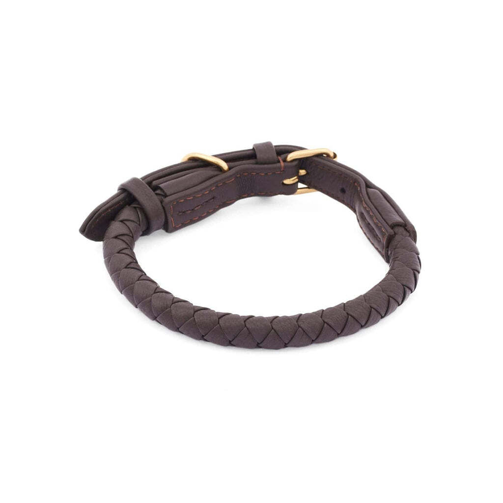 William Walker Hundehalsbänder William Walker Hundehalsband Twisted Earth XS