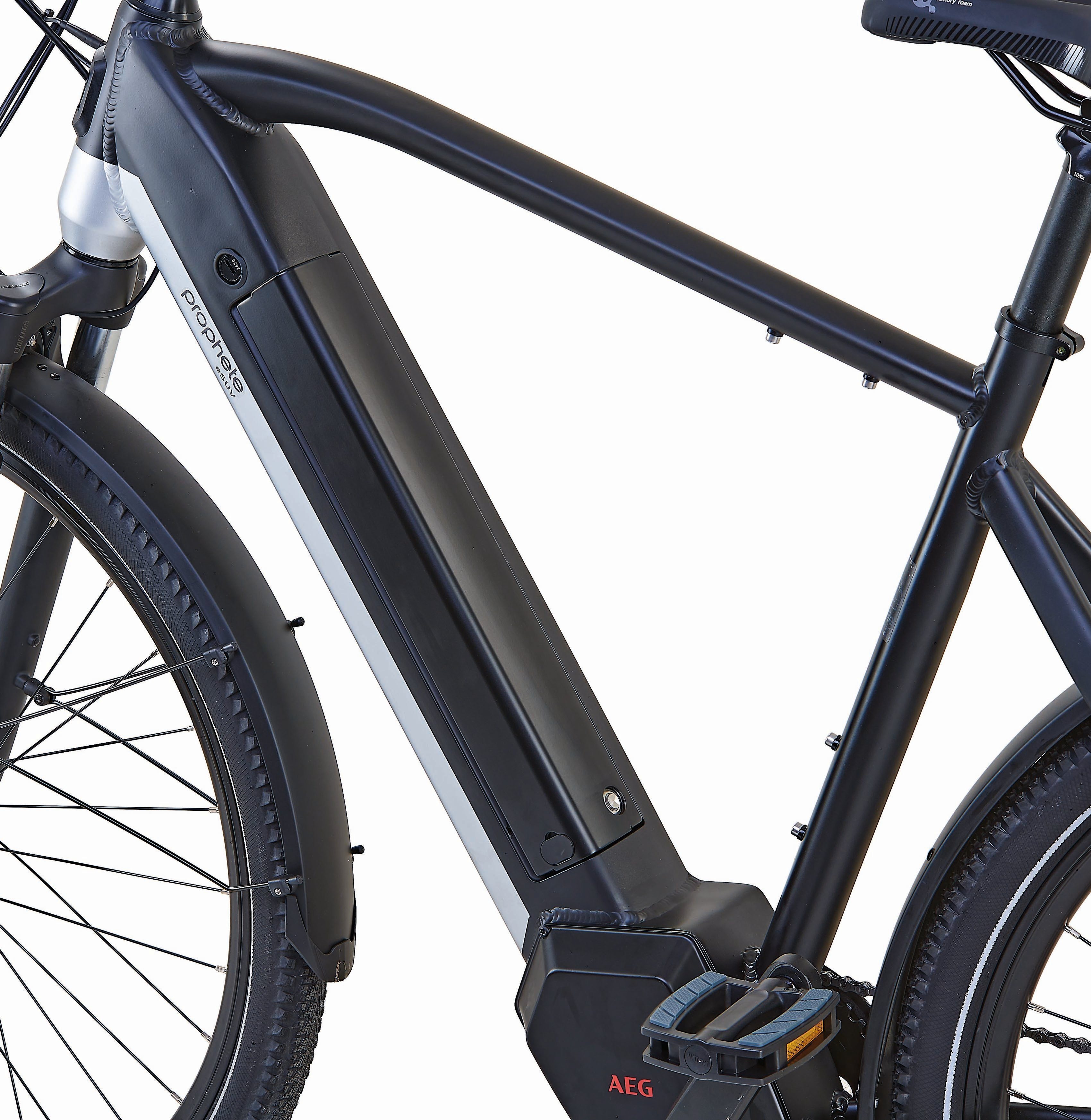 Prophete E-Bike Entdecker InsideTwo, 10 Gang Shimano Deore Schaltwerk, Kettenschaltung, Mittelmotor, 630 Wh Akku