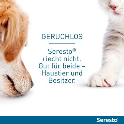Seresto® Halsband Katze