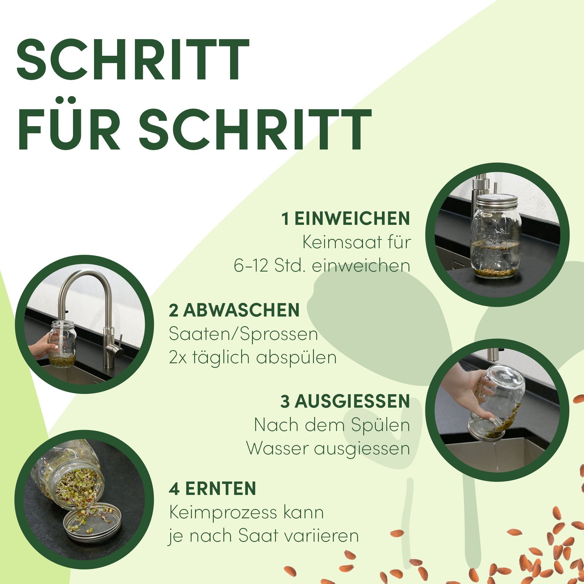 Green SEEDS Anzuchttopf Sprossenglas Keimglas 2er Set 1000ml + KRESSESIEB mit hochwertigem Edelstahl-Gitterdeckel, Ständer, Keramikschale + GRATIS Sprossen-ABC [Druckversion]…