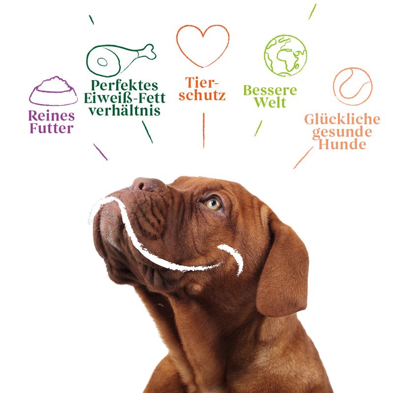 Probierpaket Yarrah Bio Hundefutter