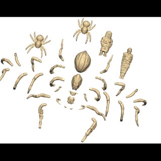 Death Fields - Giant Spiders (24) (28mm) (EN)