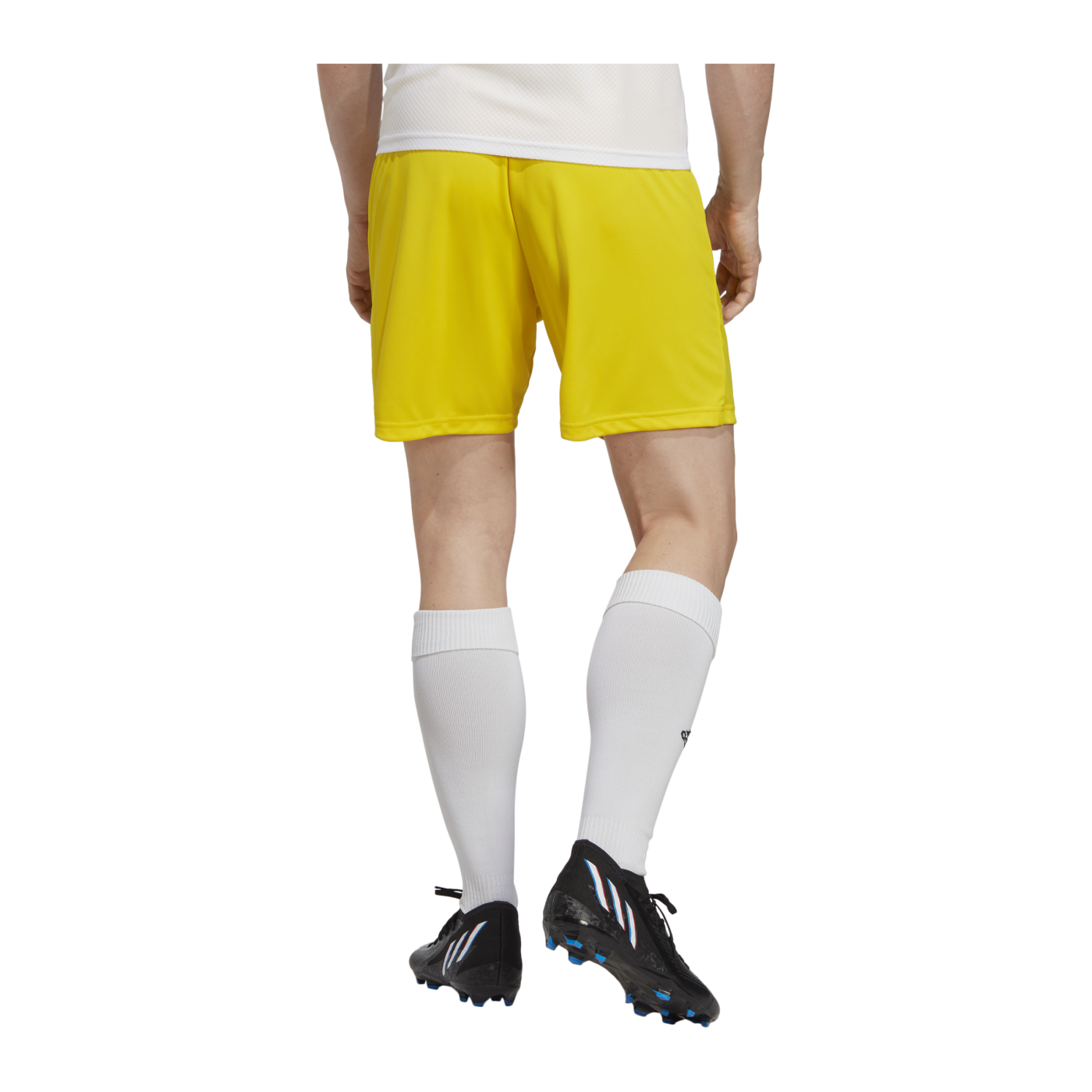 adidas Entrada 22 Short Gelb
