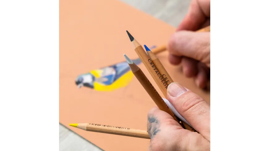 CRETACOLOR Fine Artist Pastel Pencils
