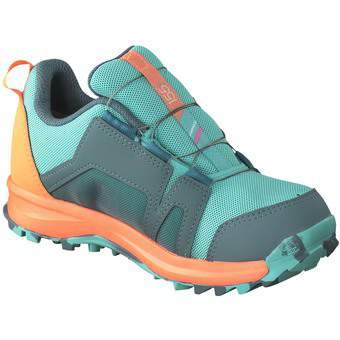adidas Terrex Agravic BOA R.RDY K in blau