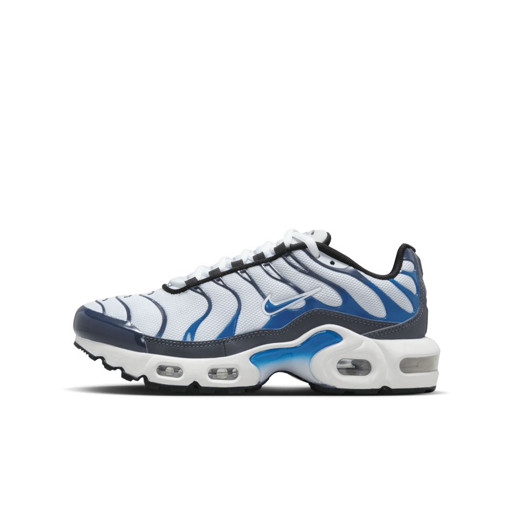 Nike Air Max CD0609-409 / blau