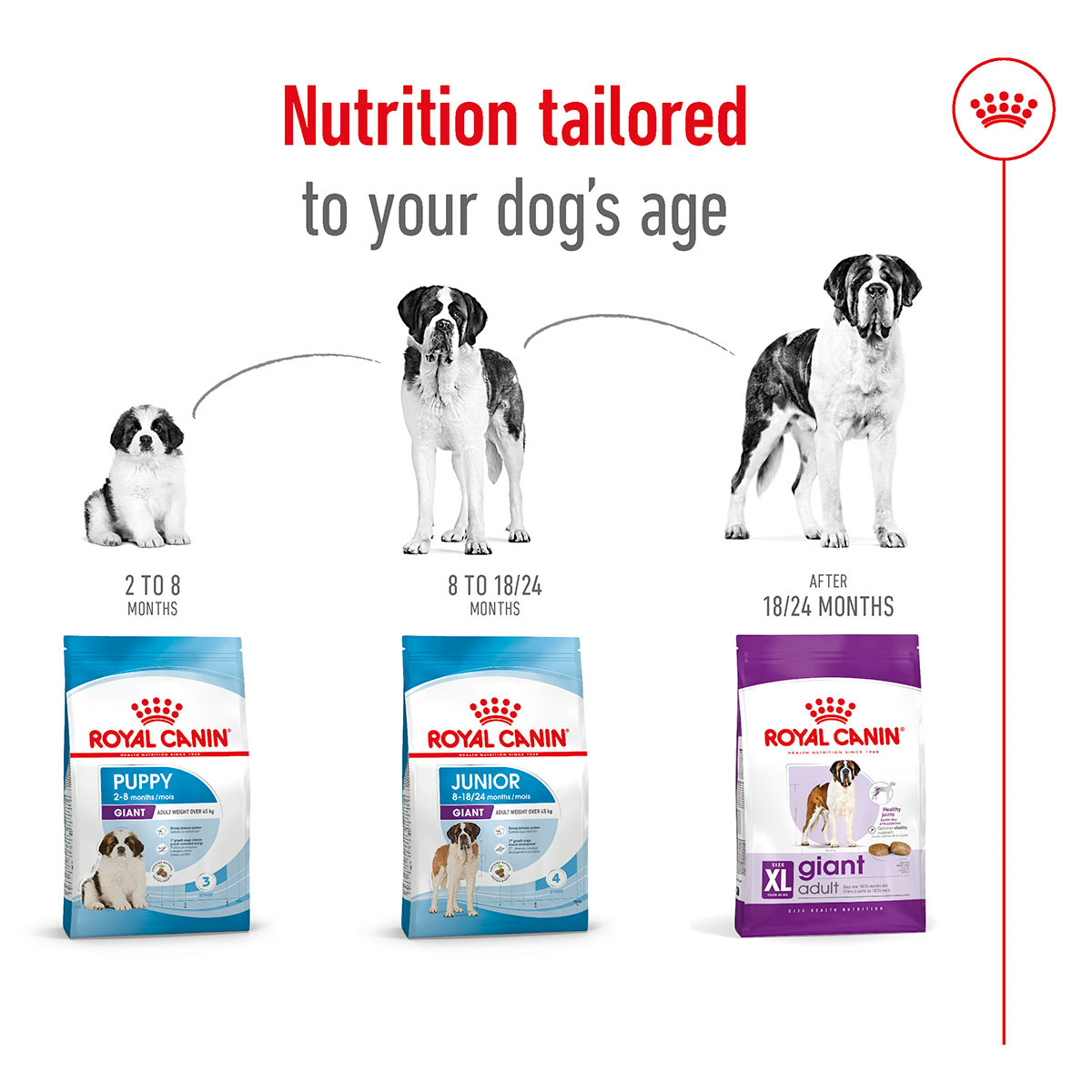 ROYAL CANIN GIANT Adult Trockenfutter für sehr große Hunde