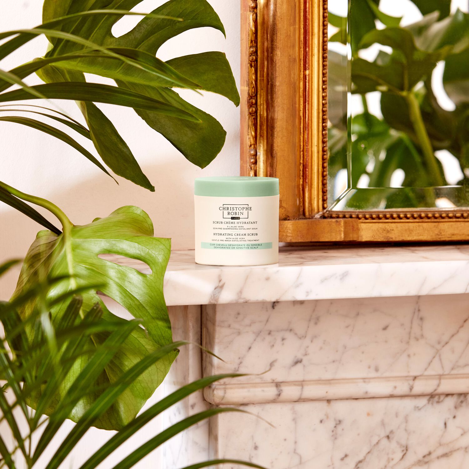 Christophe Robin Scrub Crème Hydratant Un Pré-Shampooing Exfoliant Doux à l'Aloé Vera 250 ml