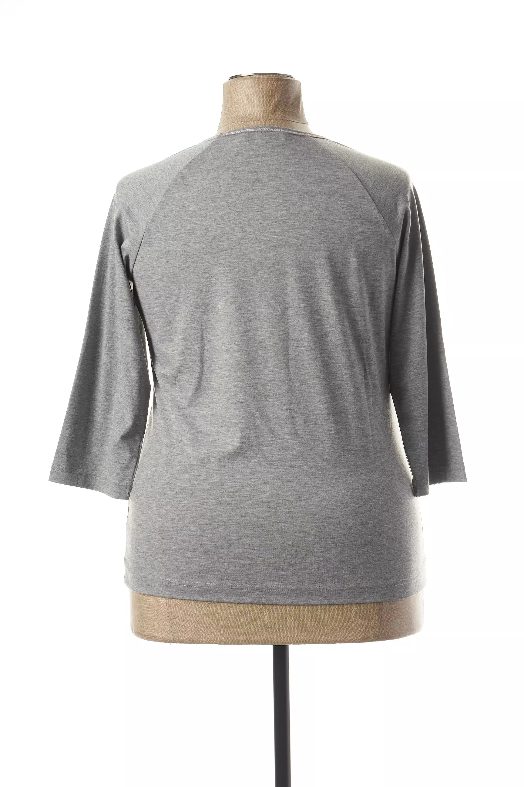 Griffon Tshirts Femme couleur gris