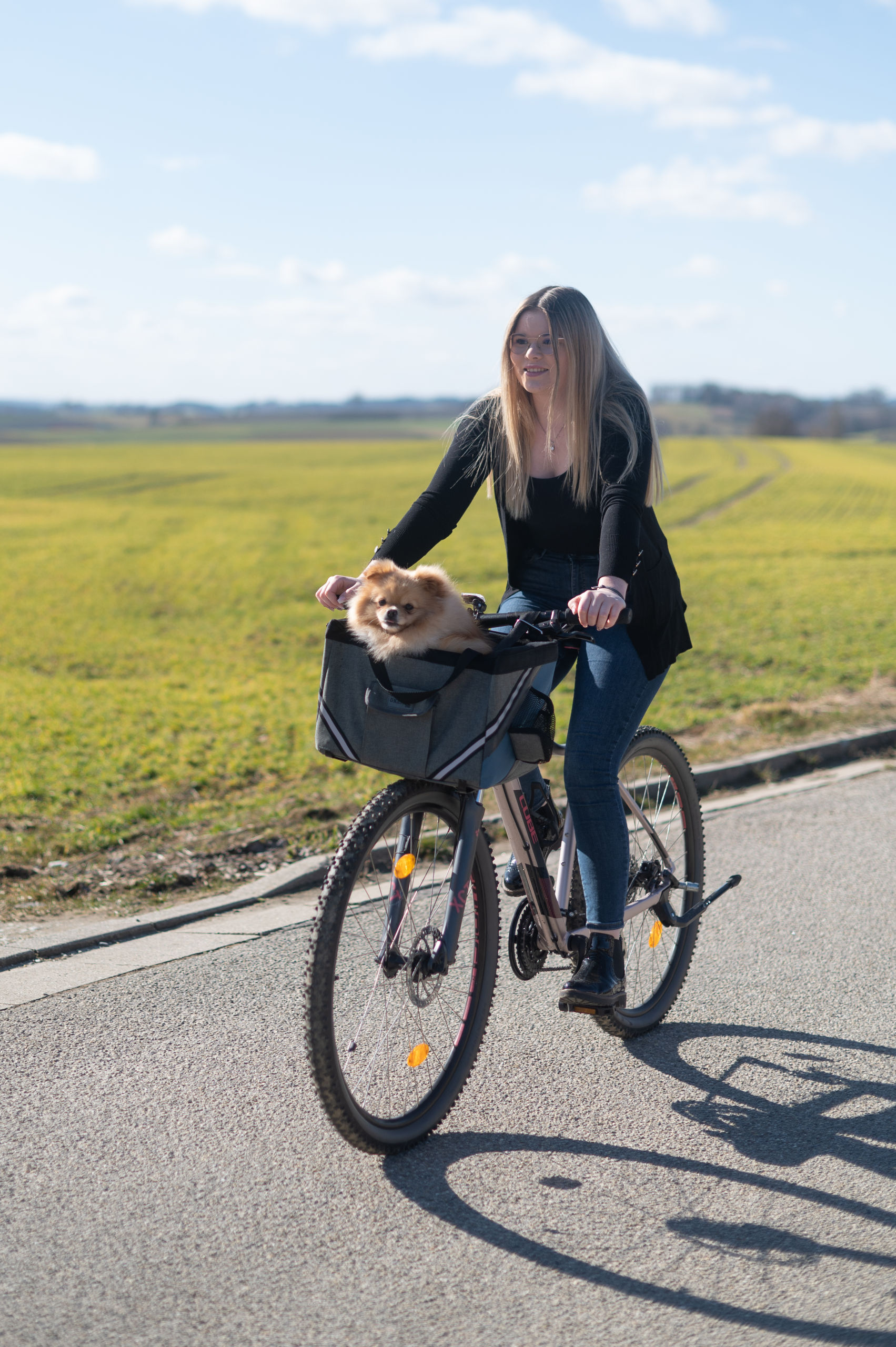 Kerbl Tragetaschen Kerbl Pet Fahrradtasche Vacation für kleine Hunde, Grau/Blau