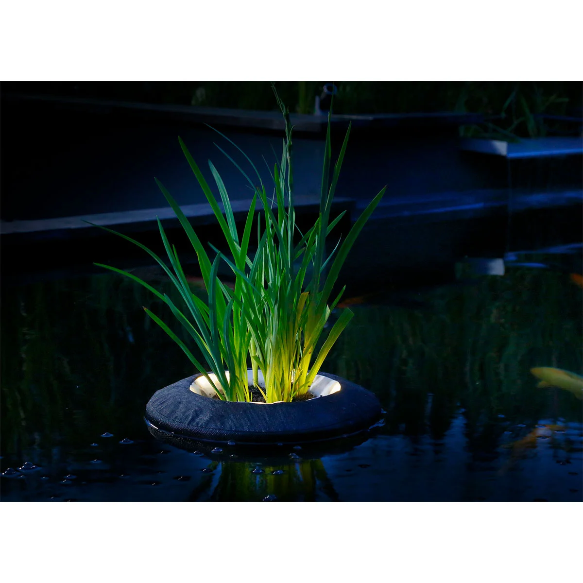 Velda Floating Plant Island rund günstig kaufen