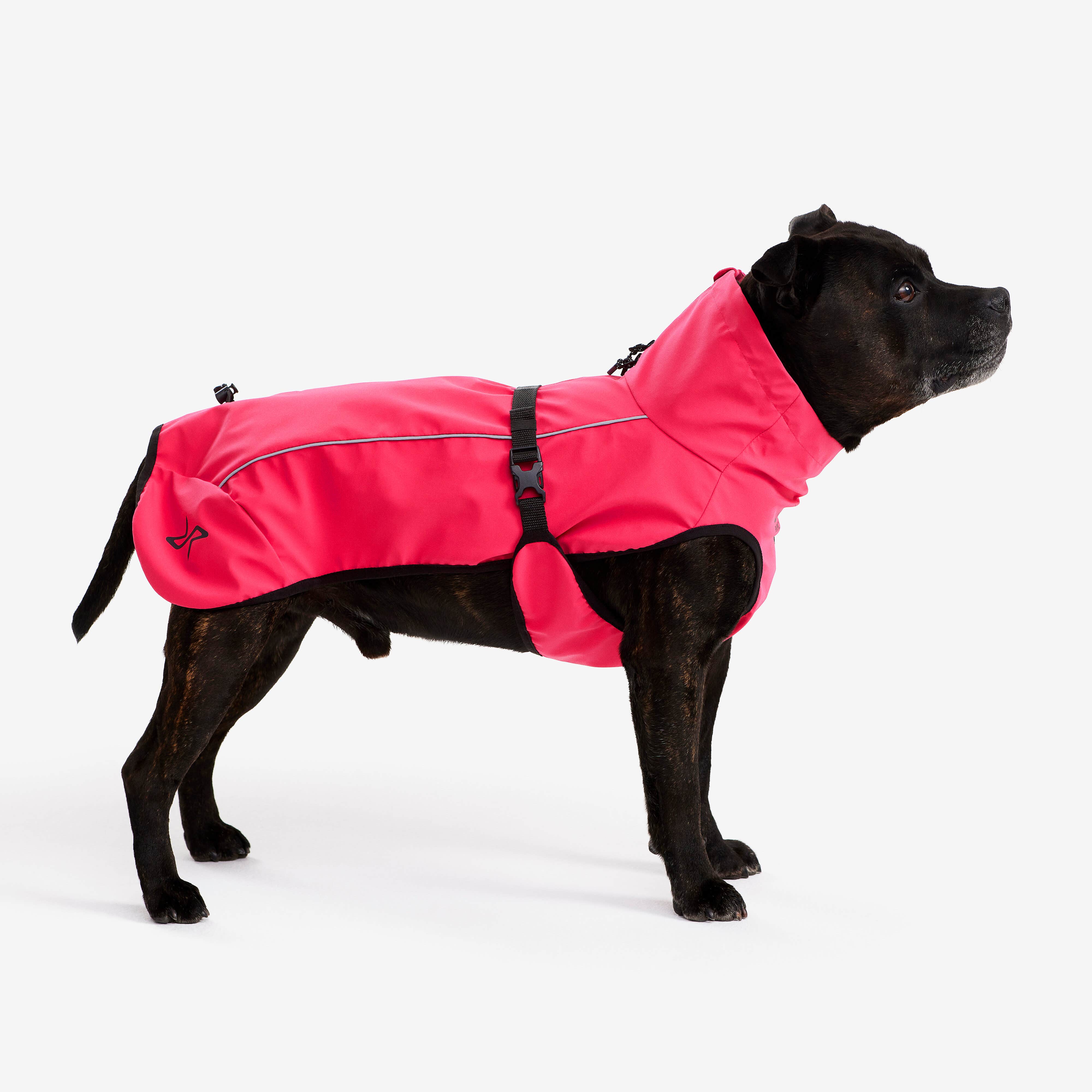 Cyclone Dog Jacket Chien Azalea