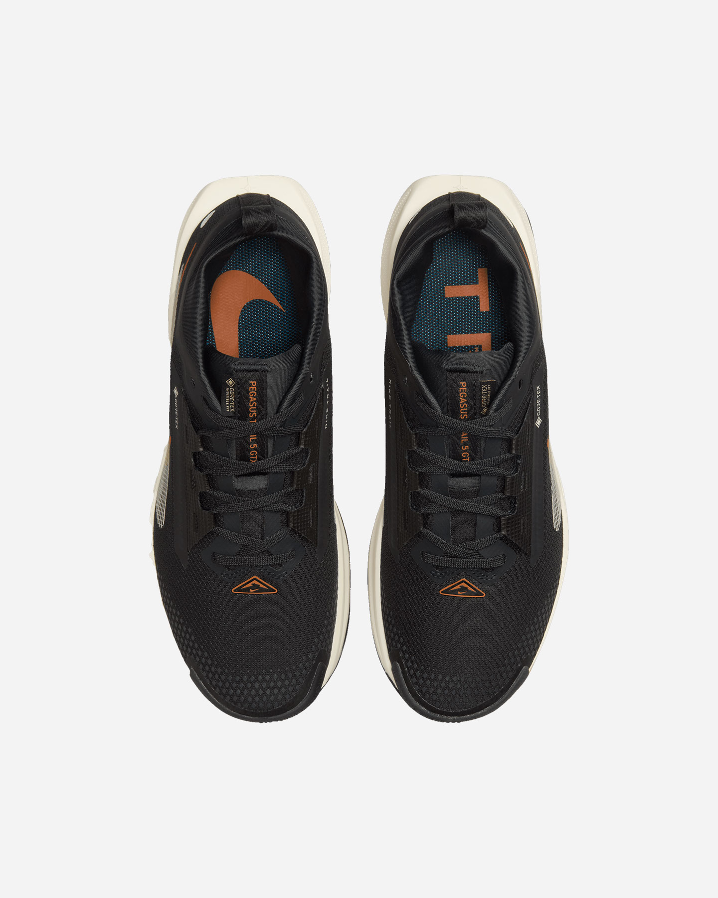 Chaussures de trail Nike Pegasus Trail 5 Gore Tex W FQ0912-005