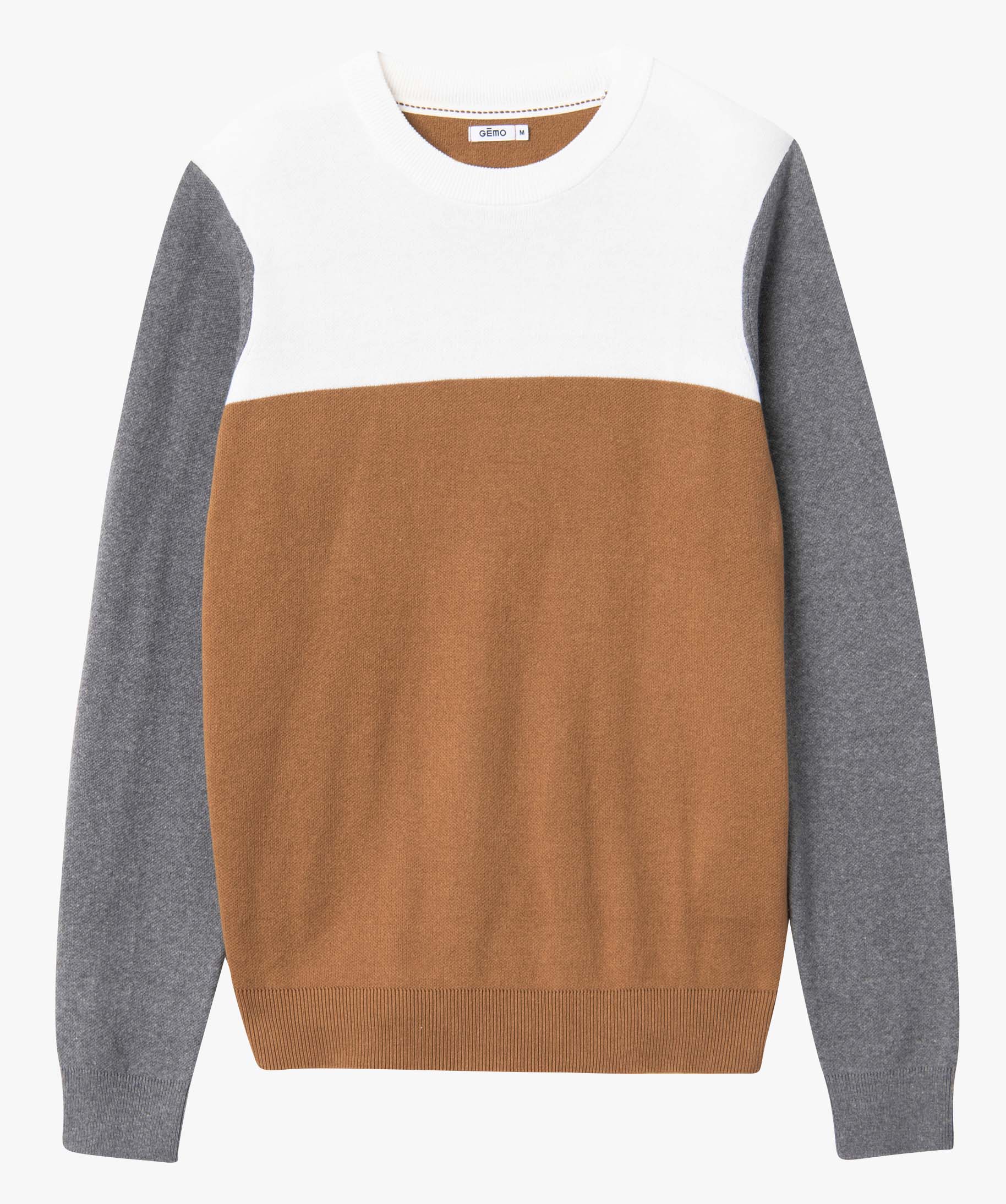 Pull homme tricolore en coton beige fonce | GEMO