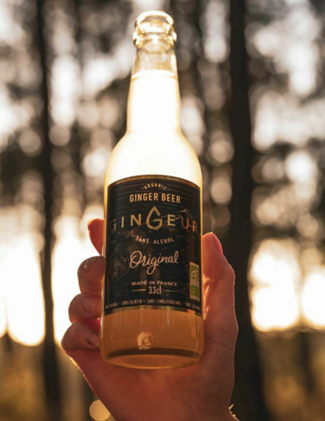 Gingeur : Ginger Beer Bio - Gueule de joie 0° |  33 cl
