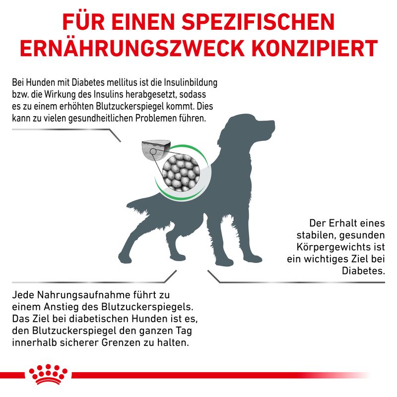Royal Canin Veterinary Canine Diabetic zu TOP-Preisen | bitiba %