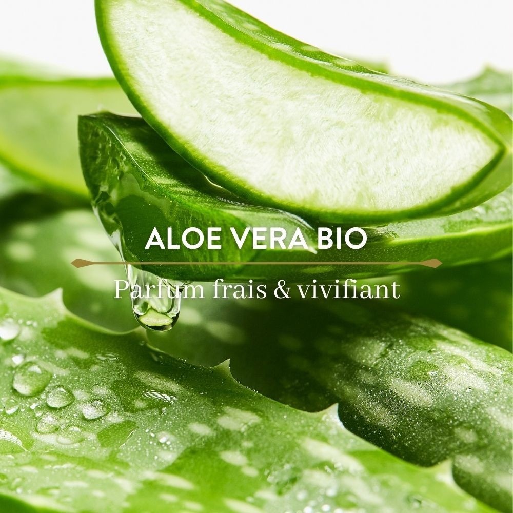 Le Petit Olivier Pure tekoče milo Marseille čistilno in antibakterijsko z aloe vero in zelenim čajem