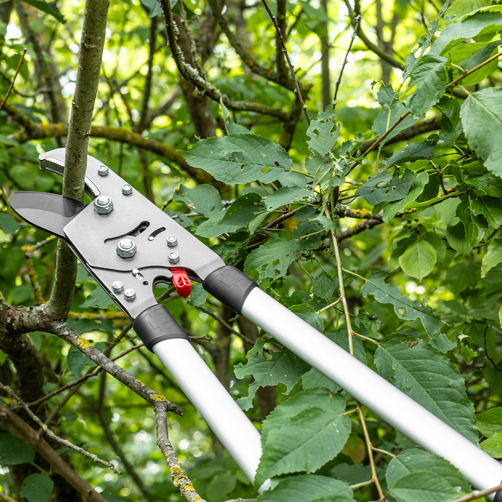 Scheppach Teleskop Getriebe Ratschenschere