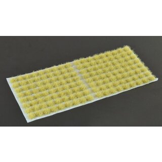 Beige 4mm Small