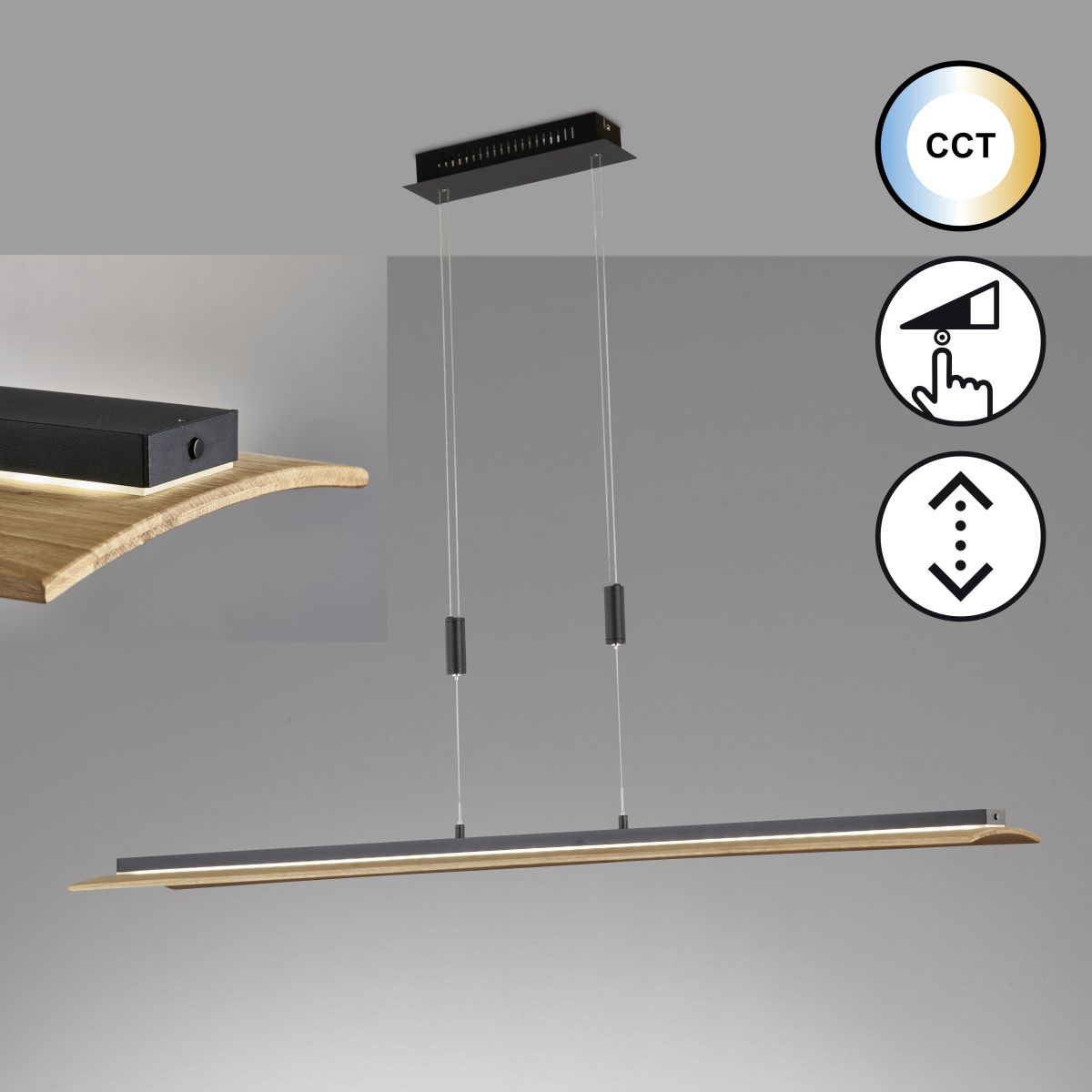 Fischer & Honsel LED Pendellampe Shine-Wood Schwarz
