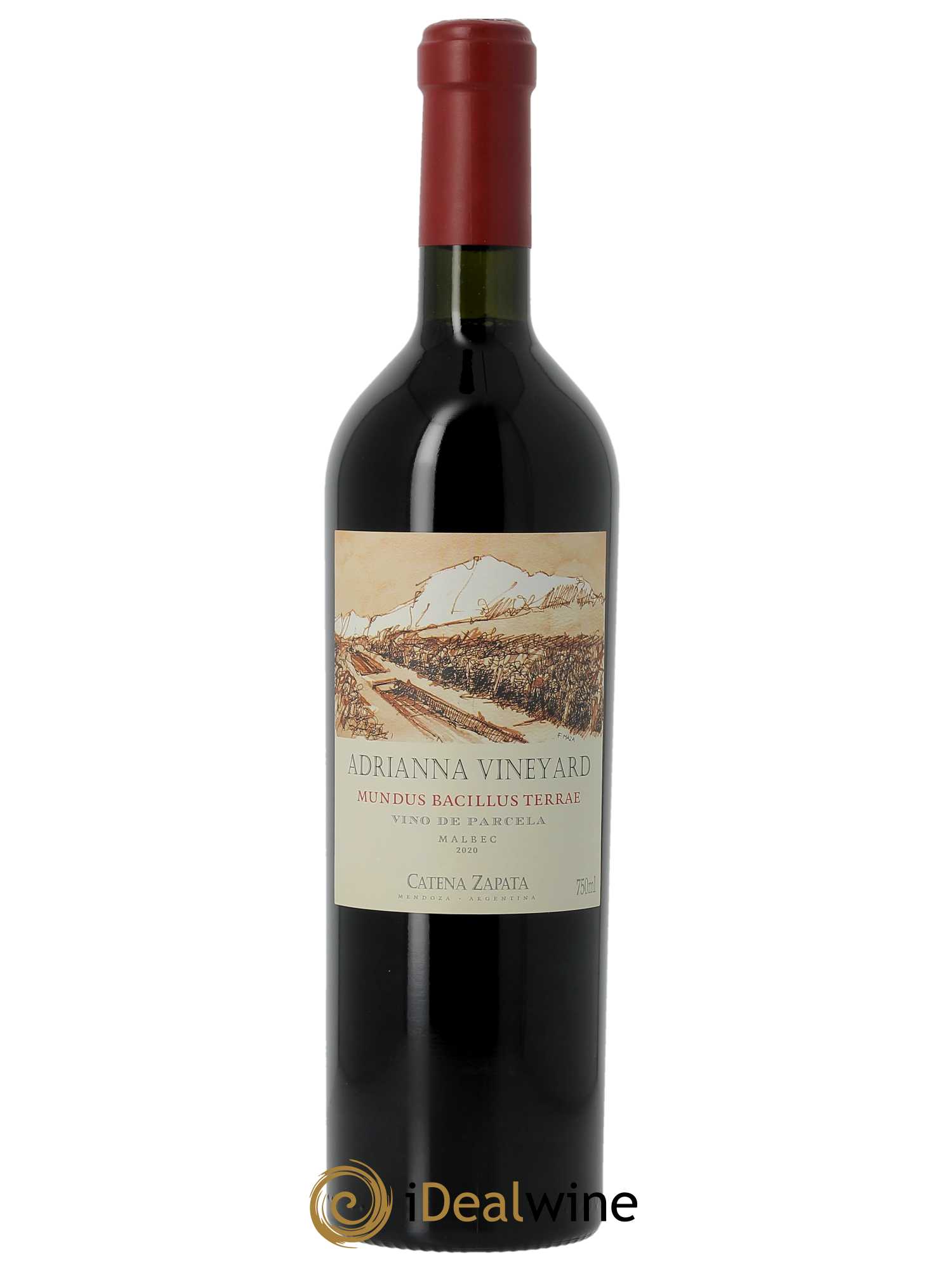 Mendoza Adrianna Vineyard Mundus Bacillus Terrae Catena Zapata (CBO à partir de 3 BTS) 2020 - Lot de 1 Bouteille