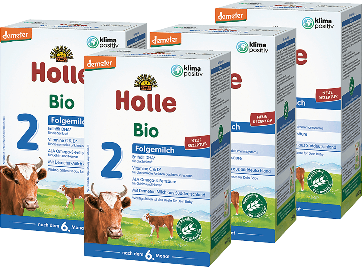 Folgemilch 2 nach dem 6. Monat, 600 g