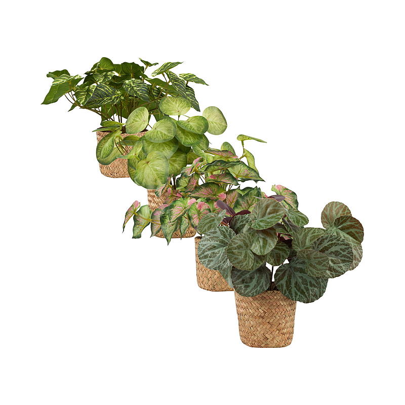 Home Grønnplante 25 cm m/kurv
