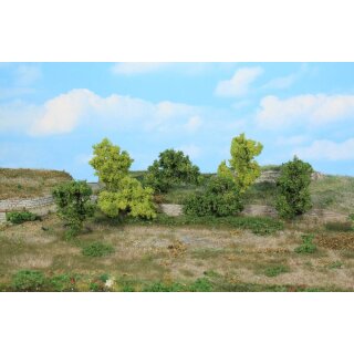 Büsche und Sträucher 6 - 8cm (7)