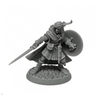 Mellonir Winrunner, Elf Warrior