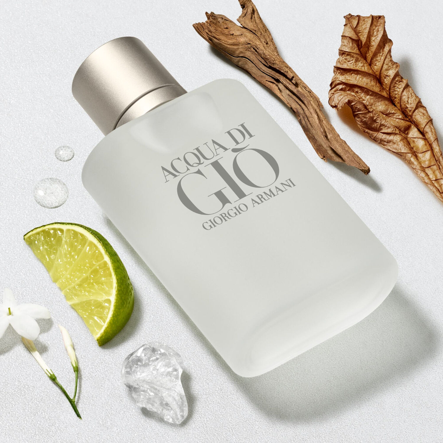 Giorgio Armani Acqua di Giò Coffret Eau de Toilette 100 ml + Format Voyage Parfum 15 ml