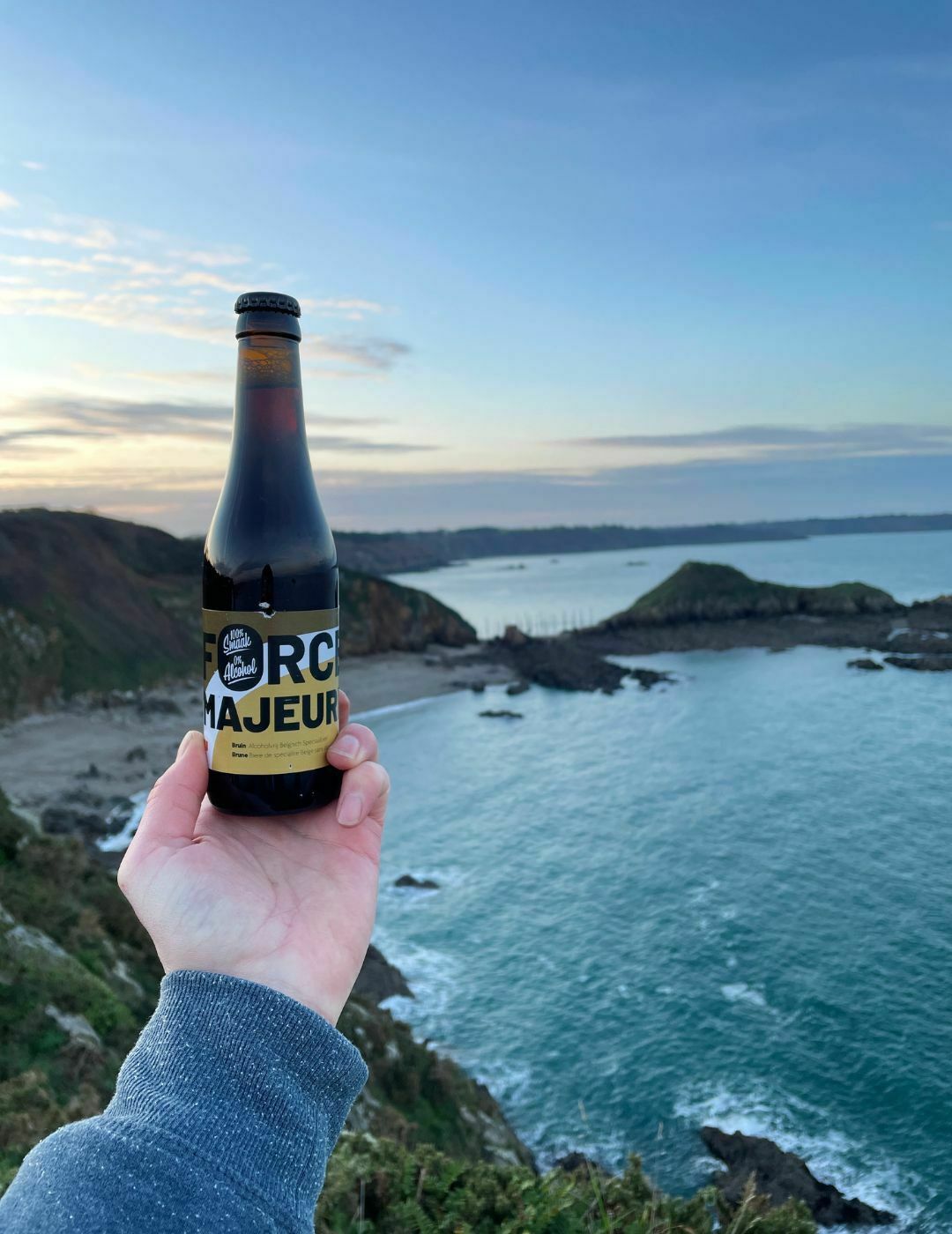 Force Majeure : Brune - Gueule de joie 0.5° |  33 cl