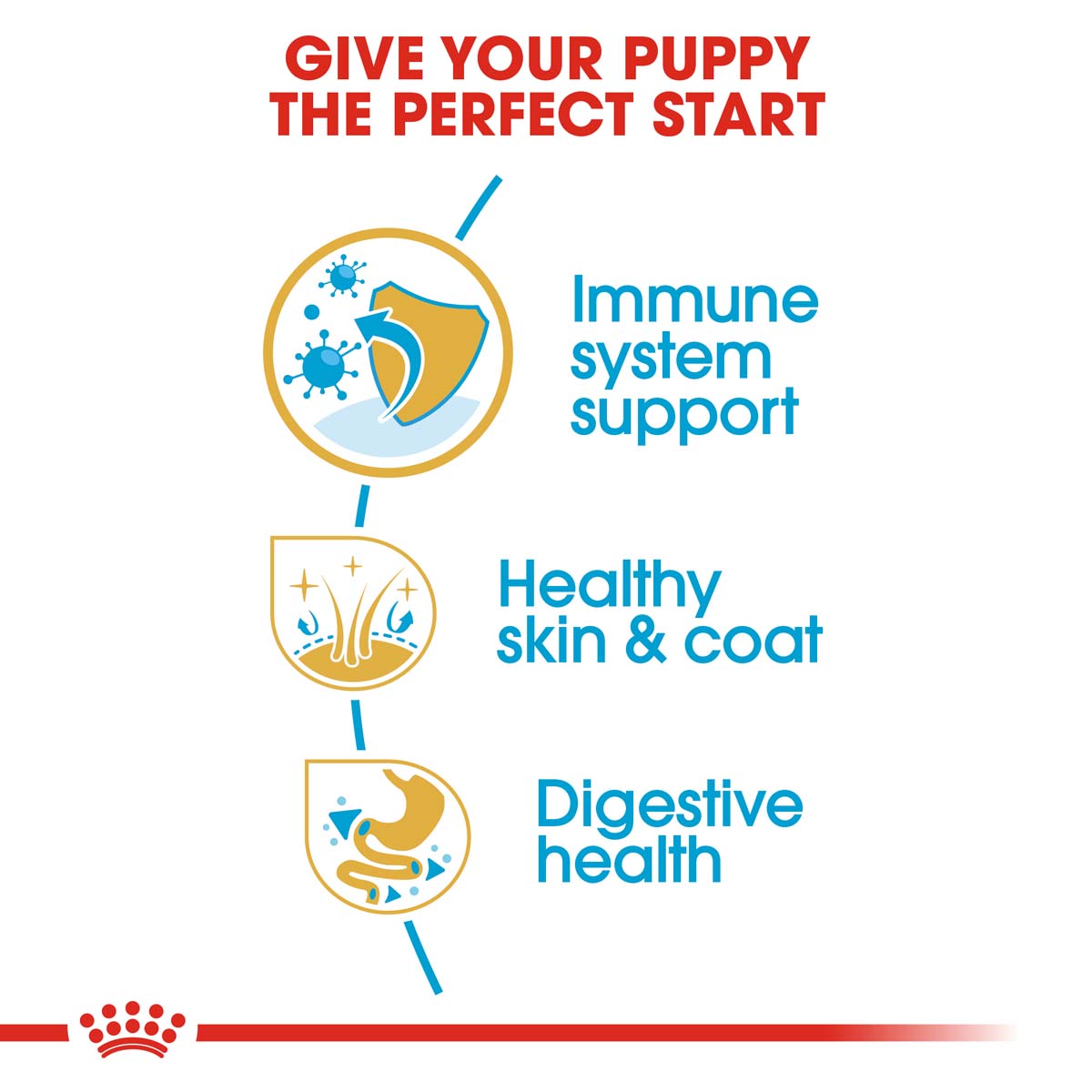 ROYAL CANIN Golden Retriever Puppy Welpenfutter trocken