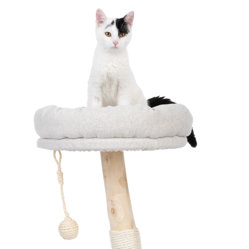 Modern Living Kratzbaum Alofi zu TOP-Preisen