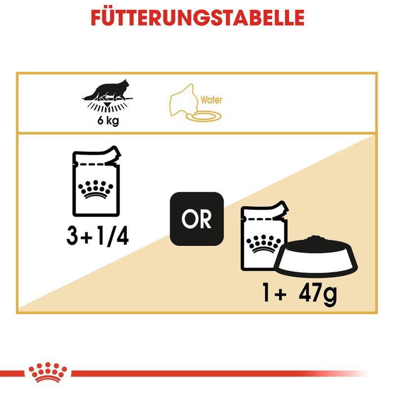 Royal Canin Maine Coon Adult in Soße