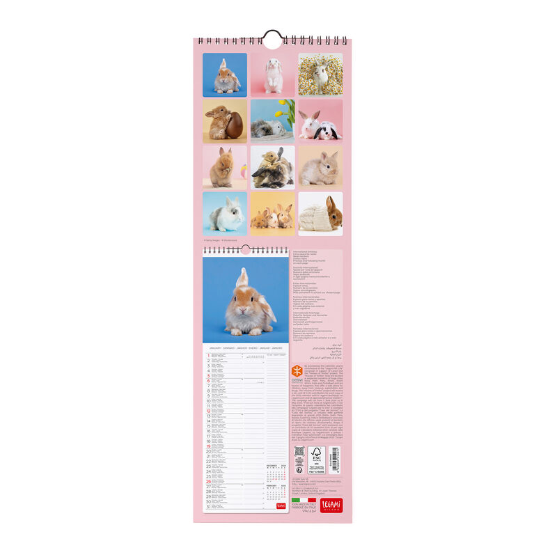 Calendario de pared 2025 - 16 x 49 cm