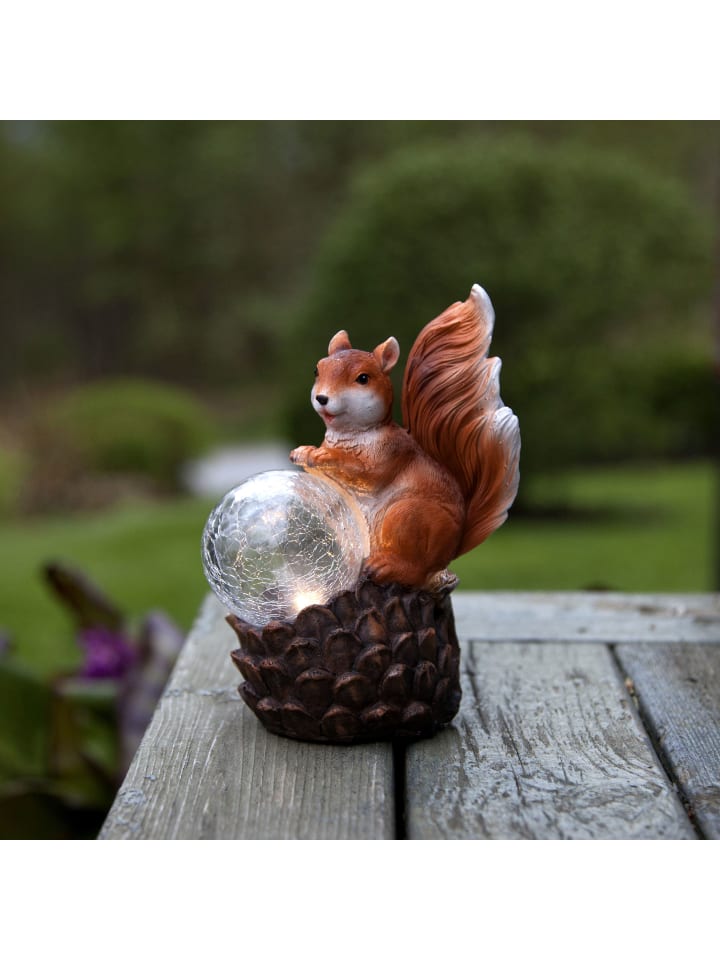 STAR Trading LED Solar-Figur Squirrel, Eichhörnchen günstig kaufen onesize