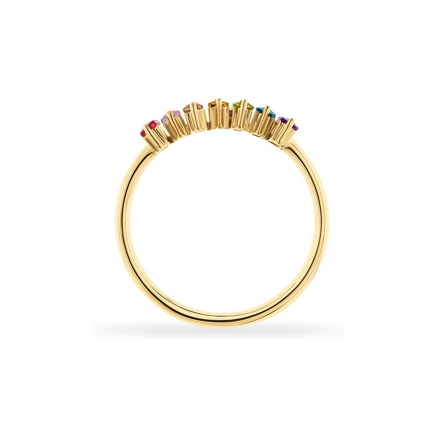 CHRIST Ring