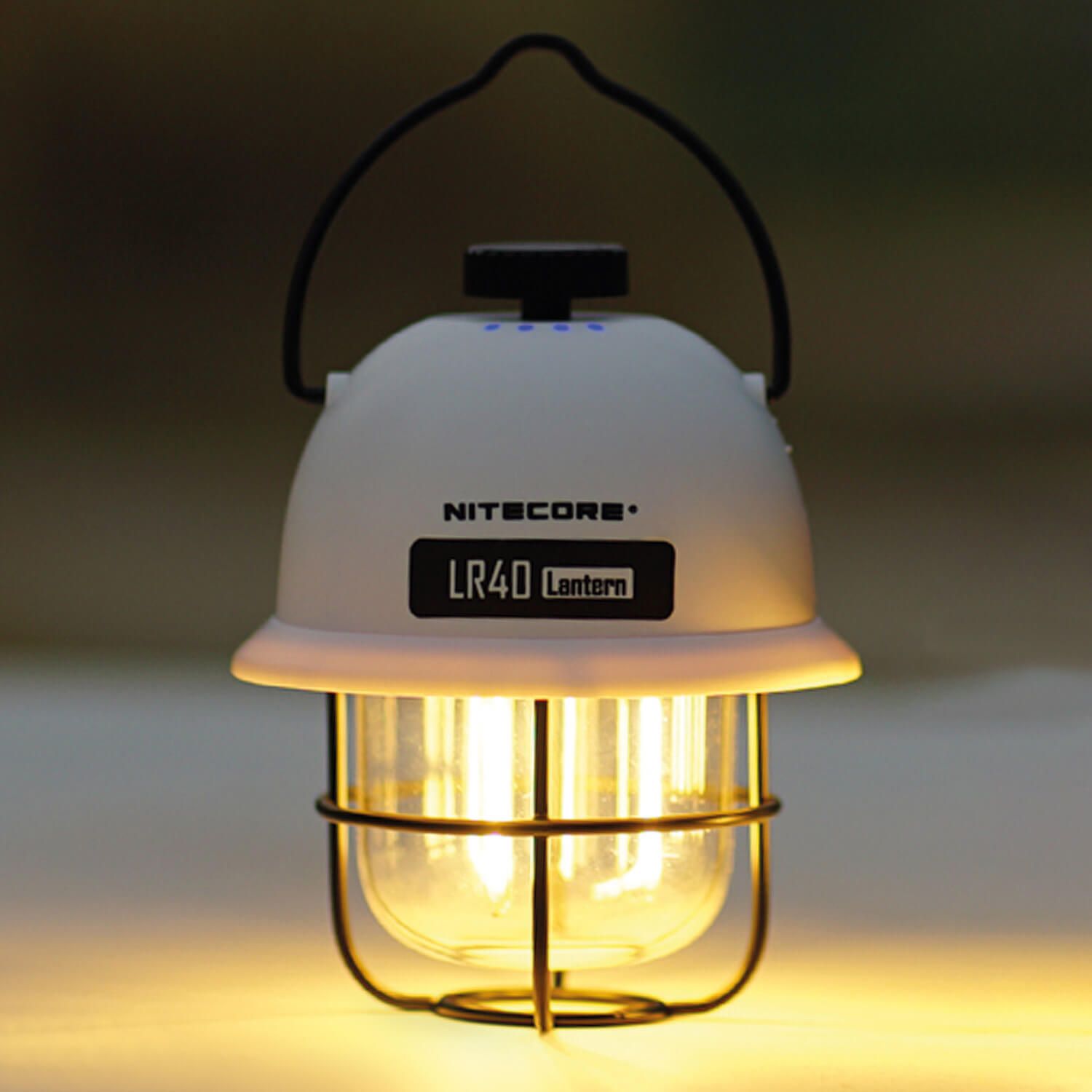 Campinglaterne LR40