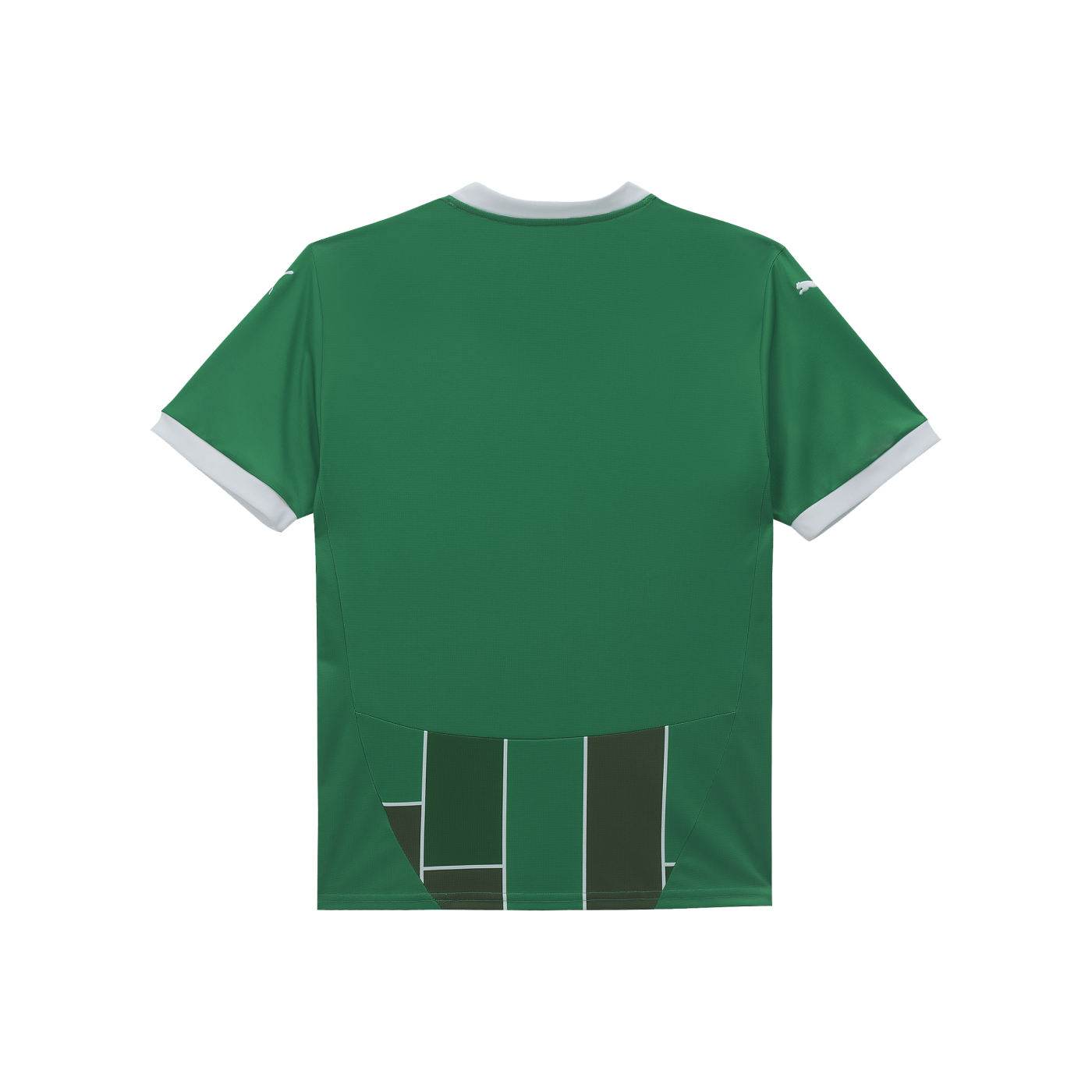 Puma SK Rapid Wien Trikot Home 2024/2025 Kids F01