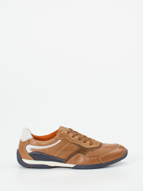 Sneaker-46612890258 Lloyd