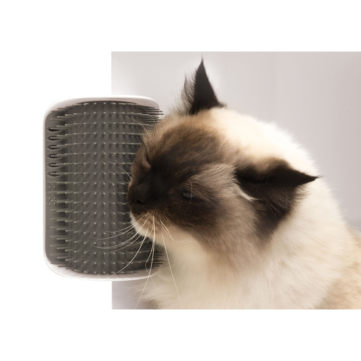 Catit Senses 2.0 Self Groomer - Massage-Ecke kaufen