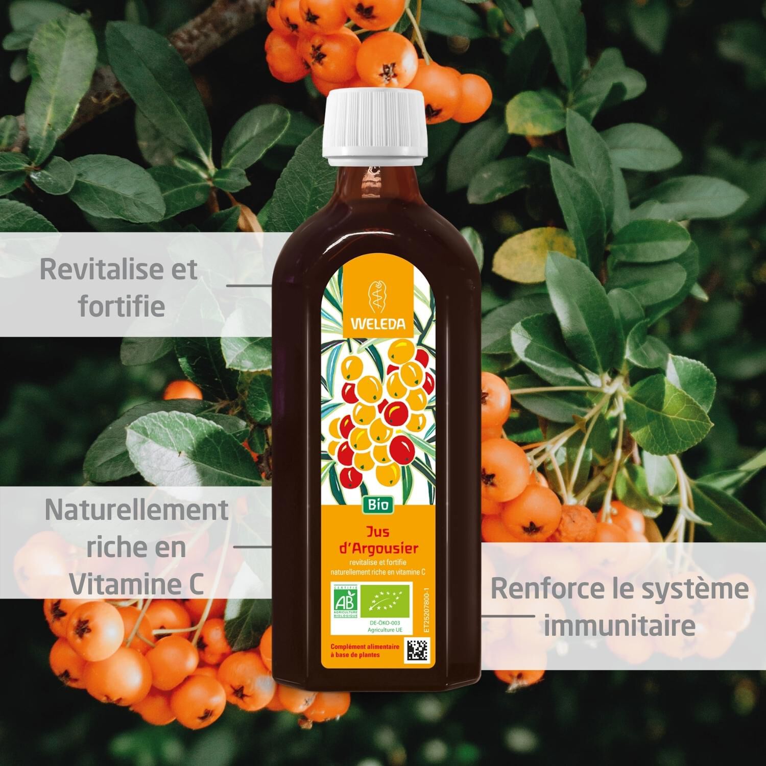 Weleda Jus d'Argousier Complément Alimentaire Riche en Vitamine C - Fortifie l'Organisme - 250 ml