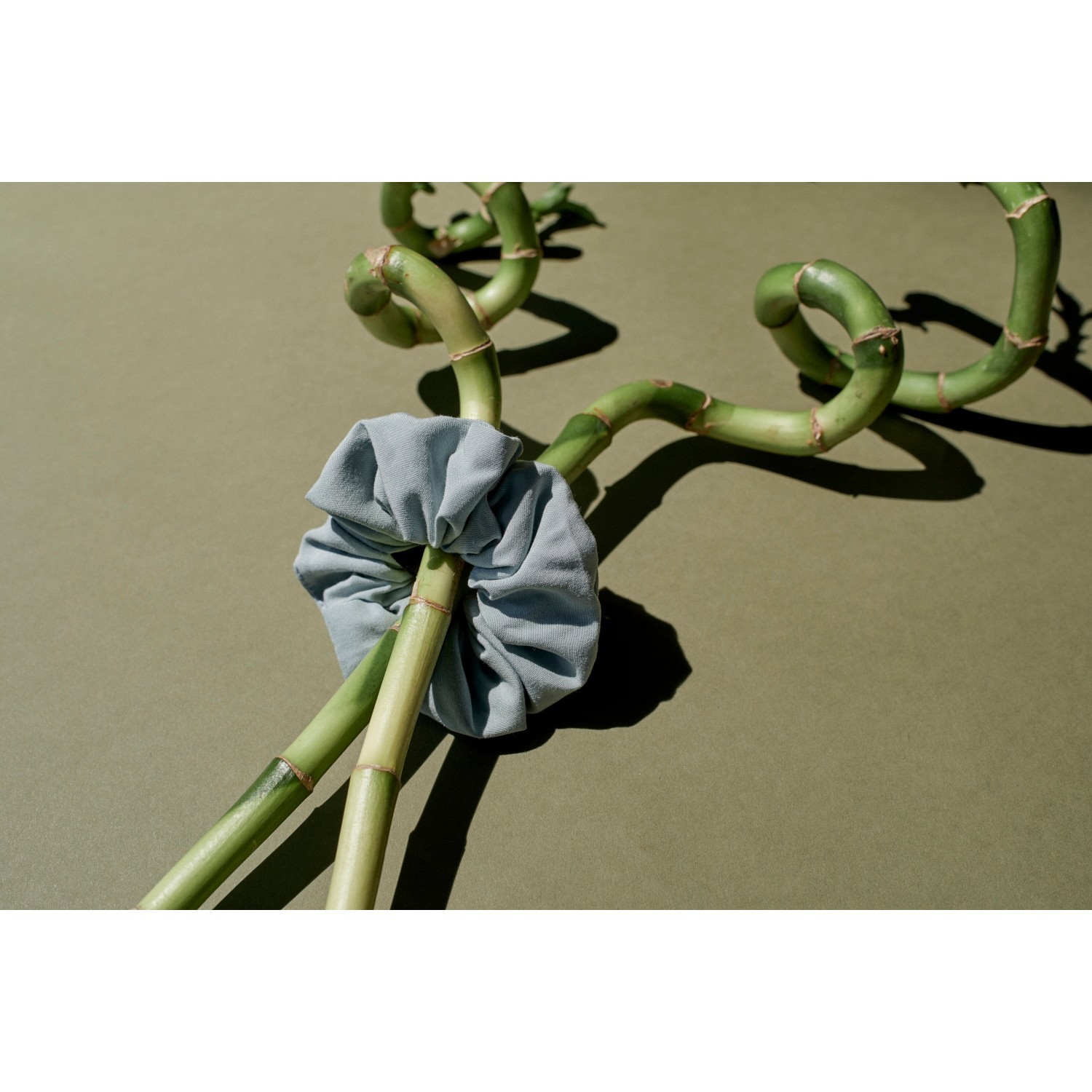Natucain Natucain x Invisiboble SPRUNCHIE