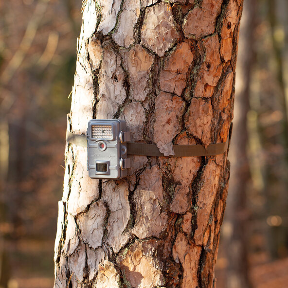 Wild-Überwachungskamera WK-4HDW, grau