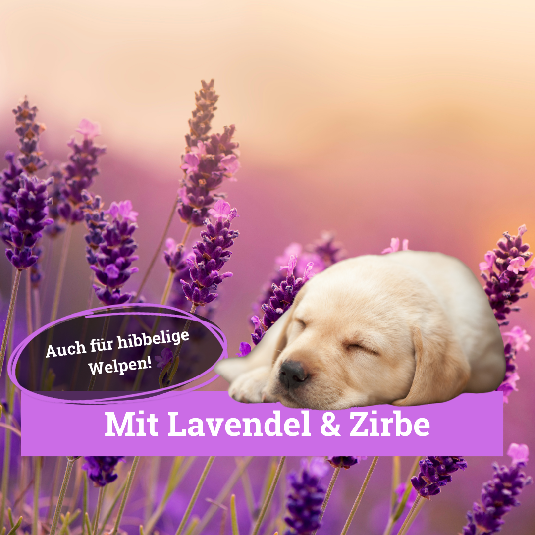 BeG Buddy Beruhigungsmittel BeG Buddy Körbchen Spray mit Lavendel